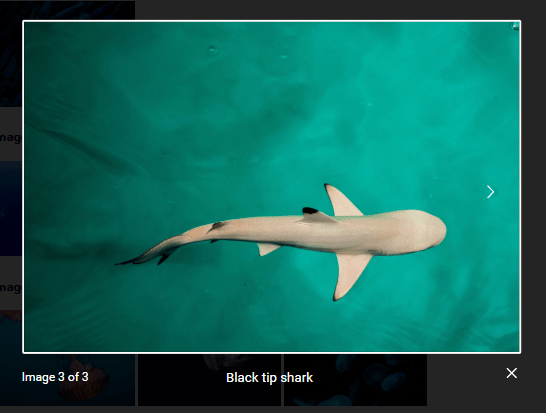 Biblioteca de Galería lightbox elegante de imagen flexible-lightbox V